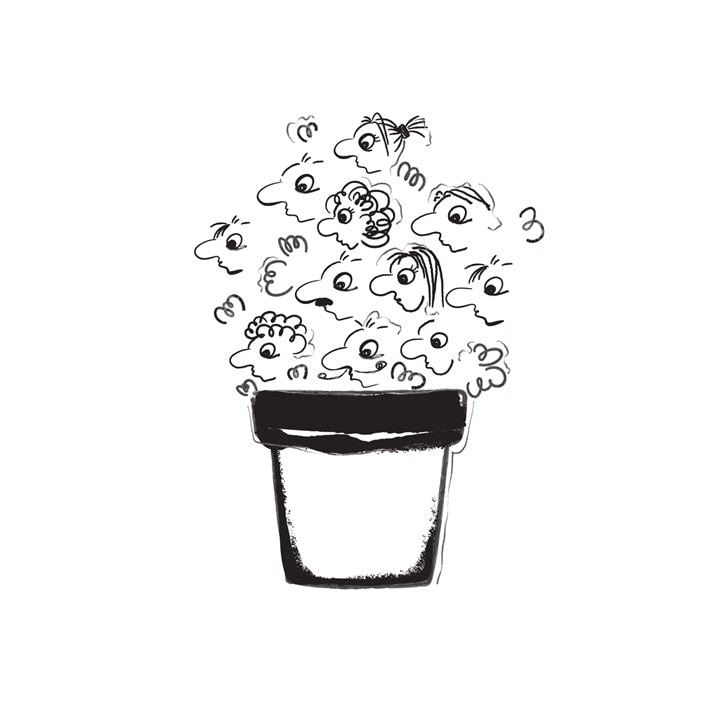 Illustration preview