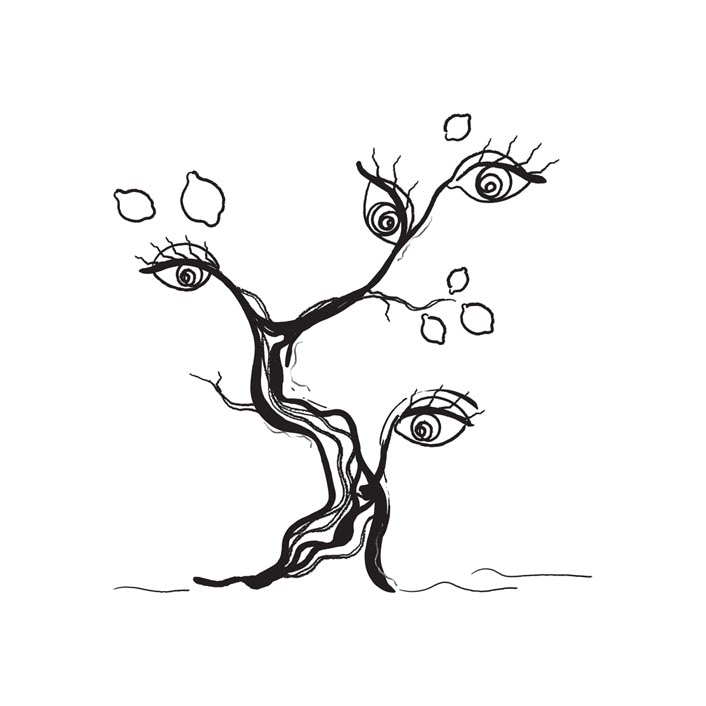 Illustration preview