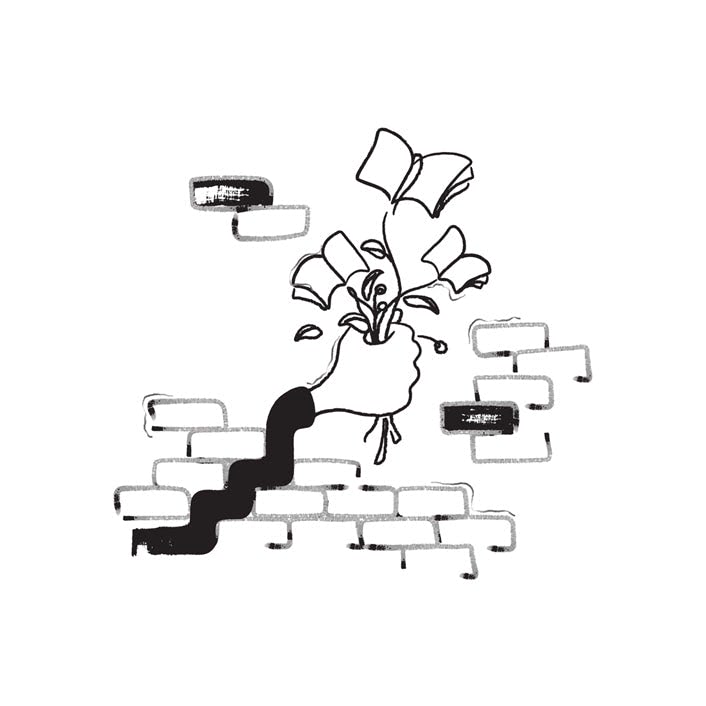 Illustration preview