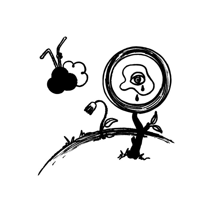 Illustration preview