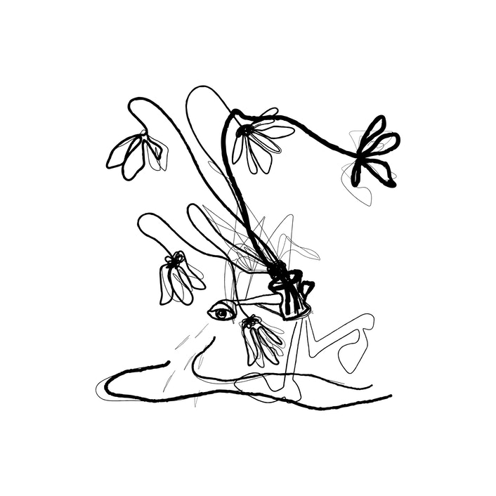 Illustration preview