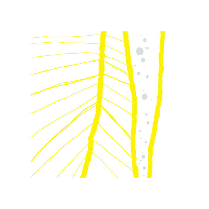 Illustration preview