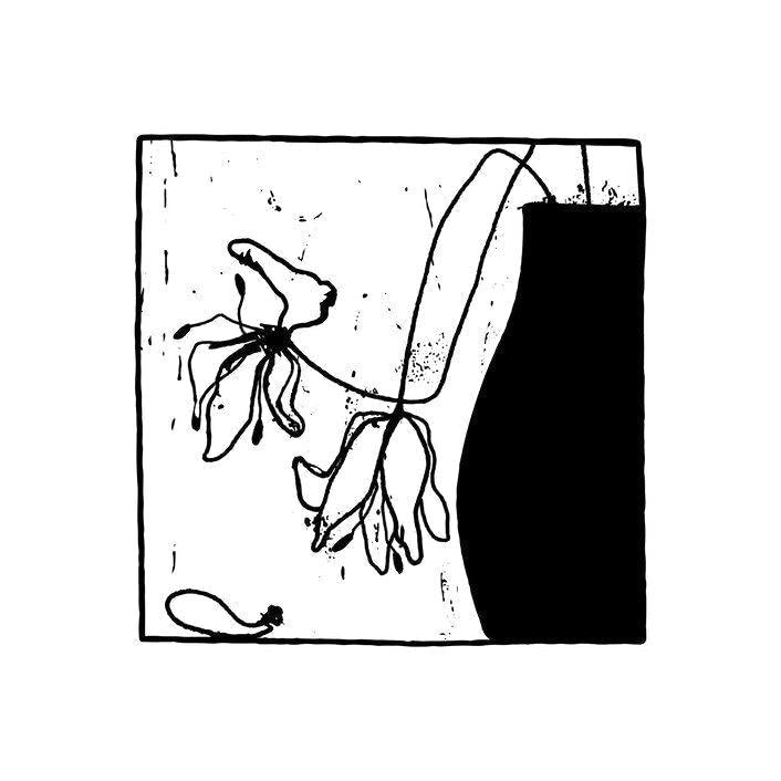 Illustration preview